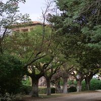 Photo de france - La randonnée des balcons d'Alignan-du-Vent